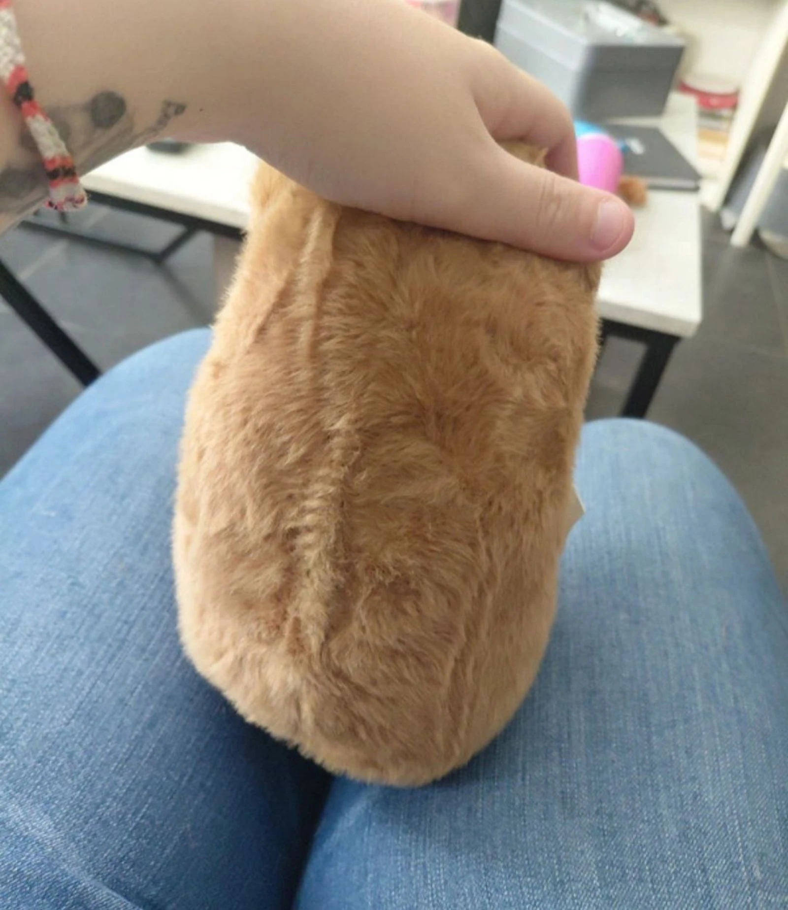 Peluche capivara – photo 3